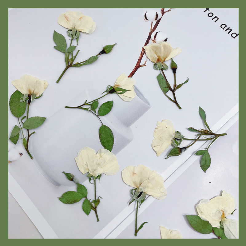12 adet, Doğa Beyaz Pembe Kırm - Wedding Card Box incelemesi ve fiyatı